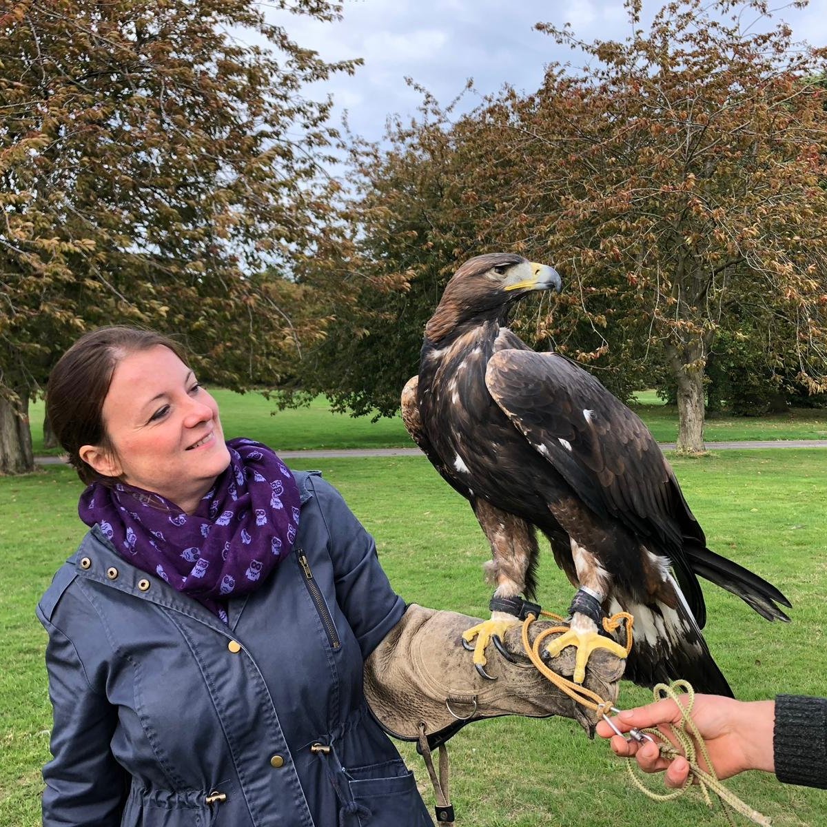 UK, Sherwood Forrest, Nottinghamshire Birds of Prey Event