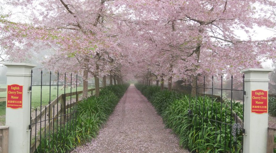 The famous entrance drive.