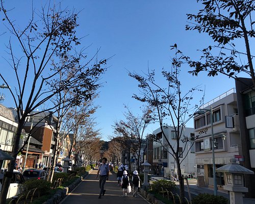 21 鶴岡八幡宮に至近のホテル 旅館10選 トリップアドバイザー 21 鶴岡八幡宮に至近のホテル 旅館10選 トリップアドバイザー