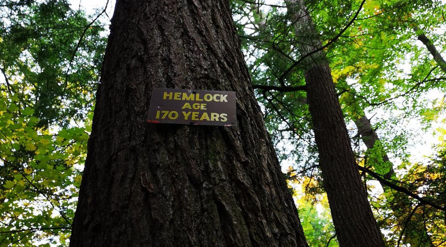 The welcome sign says that these signs were put up prior to 1975