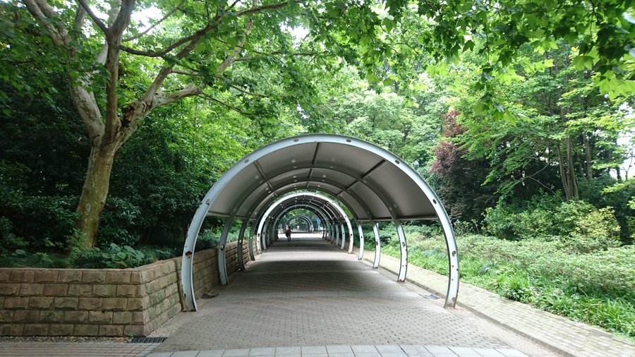 人民公園環境