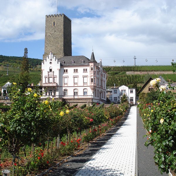 Ruedesheim am Rhein, Germany 2023: Best Places to Visit - Tripadvisor
