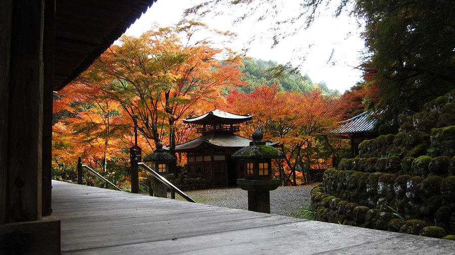 Otagi Nenbutsu-ji Temple (Kyoto, Nhật Bản) - Đánh giá - Tripadvisor