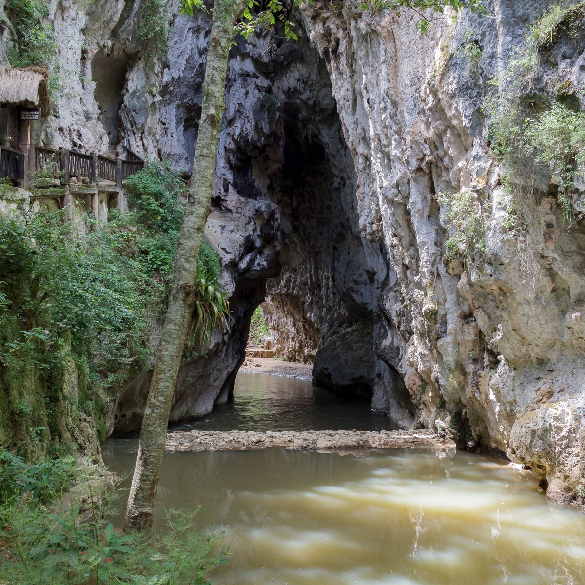 EL ARCOTETE (San Cristóbal de las Casas) - Qué SABER antes de ir