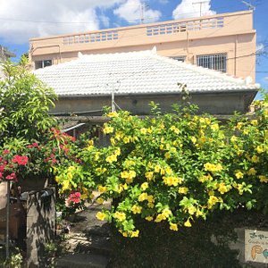 沖縄の昔ながらの瓦屋根古民家をそのまま利用しています。