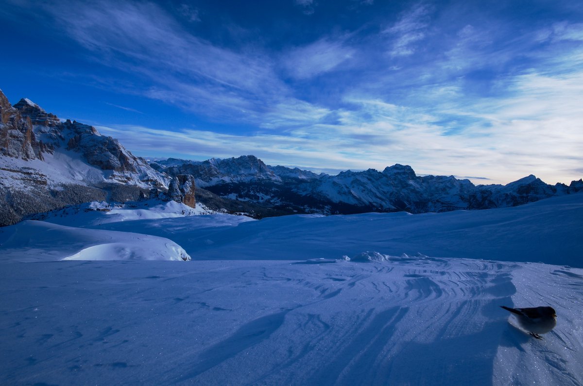 hotel cristallino d'ampezzo via roma cortina d'ampezzo bl