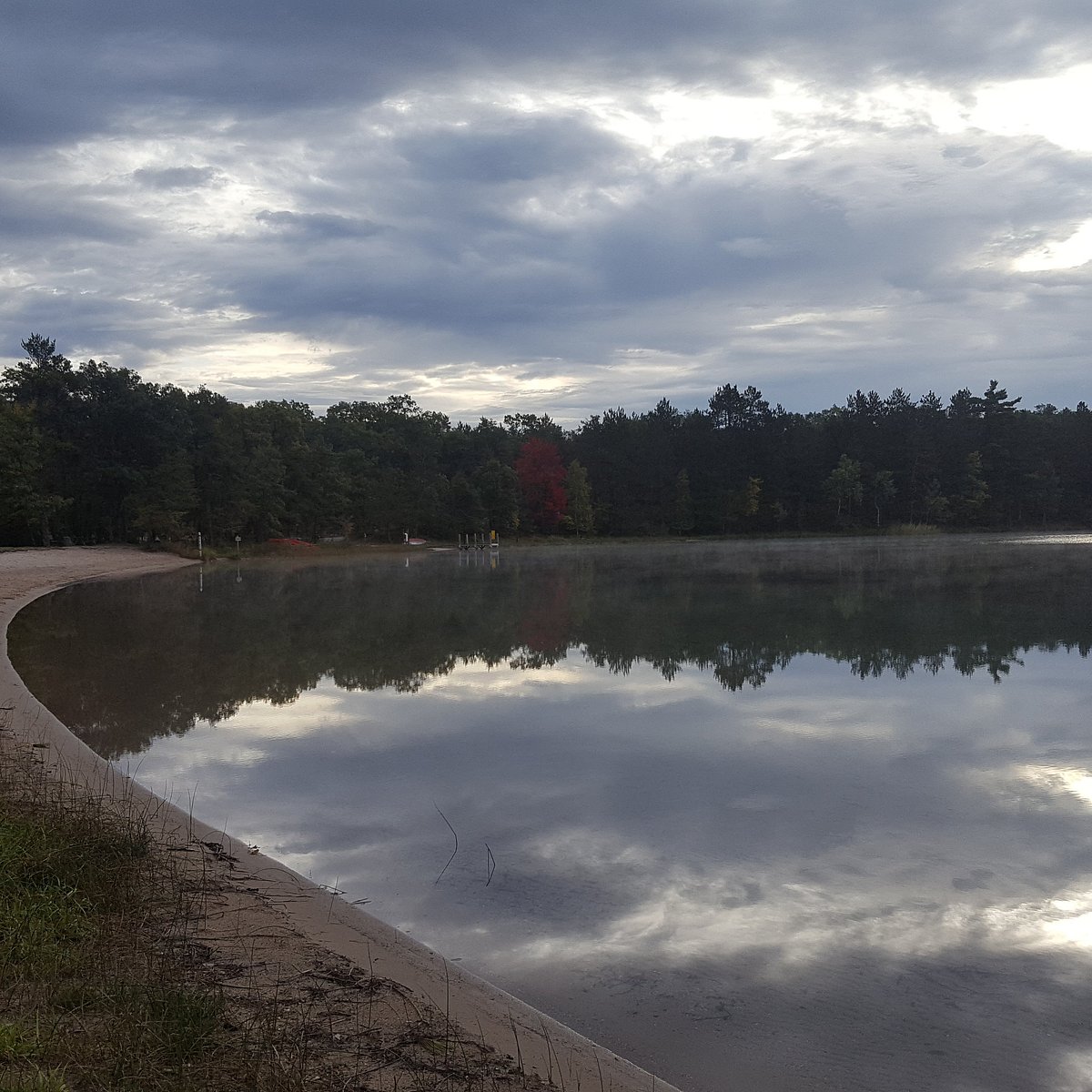 are dogs allowed at clear lake state park