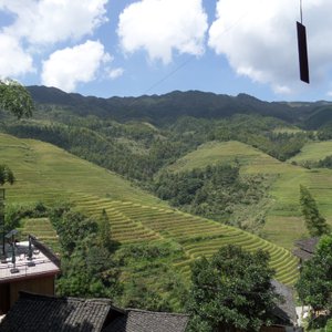View from the Wood house