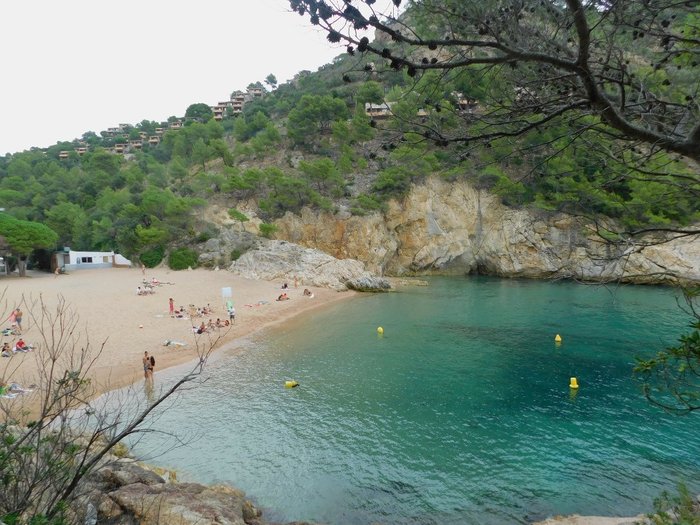 Imagen 6 de Cala Pola