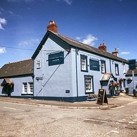 Summer at The Lower