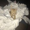 troublesmommy