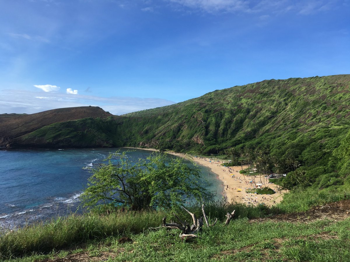 Hanauma Bay Snorkel Fun Honolulu UPDATED December 2022 Top Tips