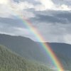 RainbowTrout123