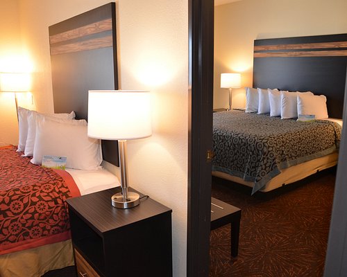 one king suites room