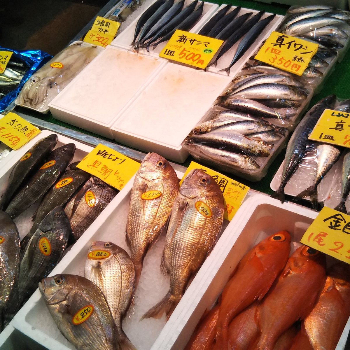 21年 清水魚市場 河岸の市 行く前に 見どころをチェック トリップアドバイザー 21年 清水魚市場 河岸の市 行く前に 見どころをチェック トリップアドバイザー