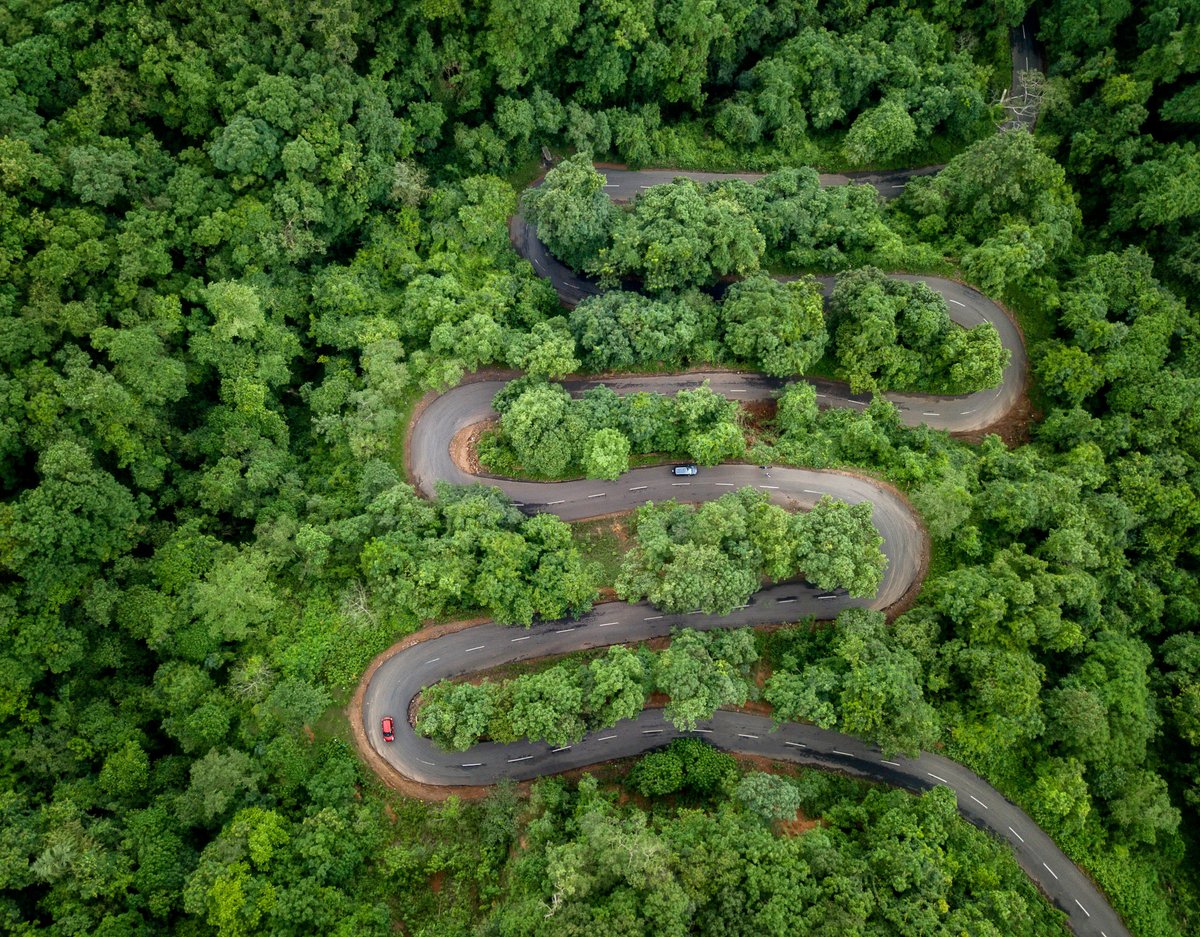 Picture of Maredumilli