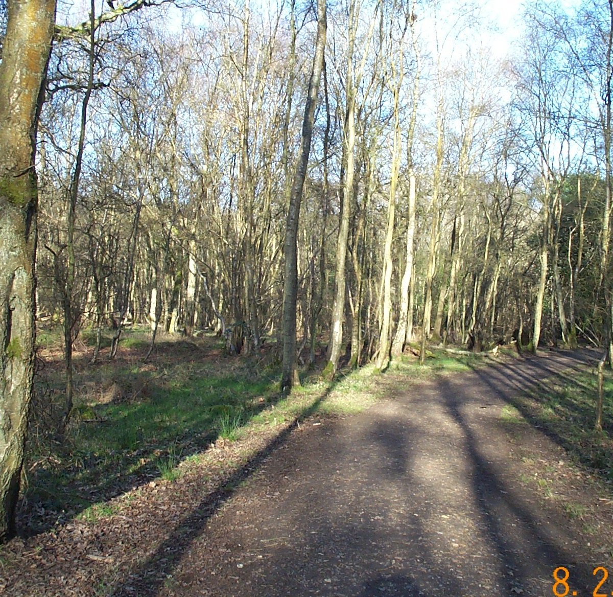 SOUTHWOOD WOODLAND (Farnborough) - All You Need to Know BEFORE You Go