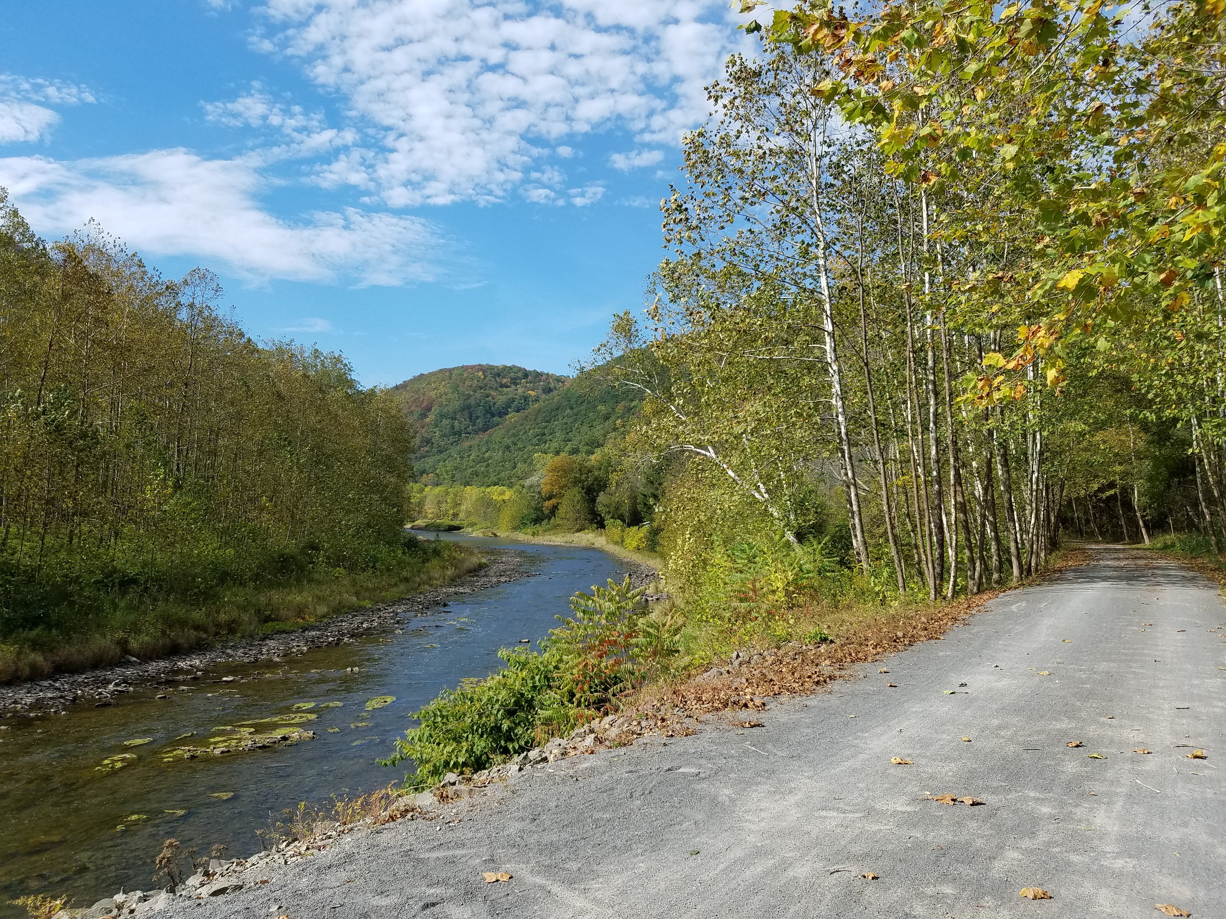 Pine creek 2024 rail trail camping