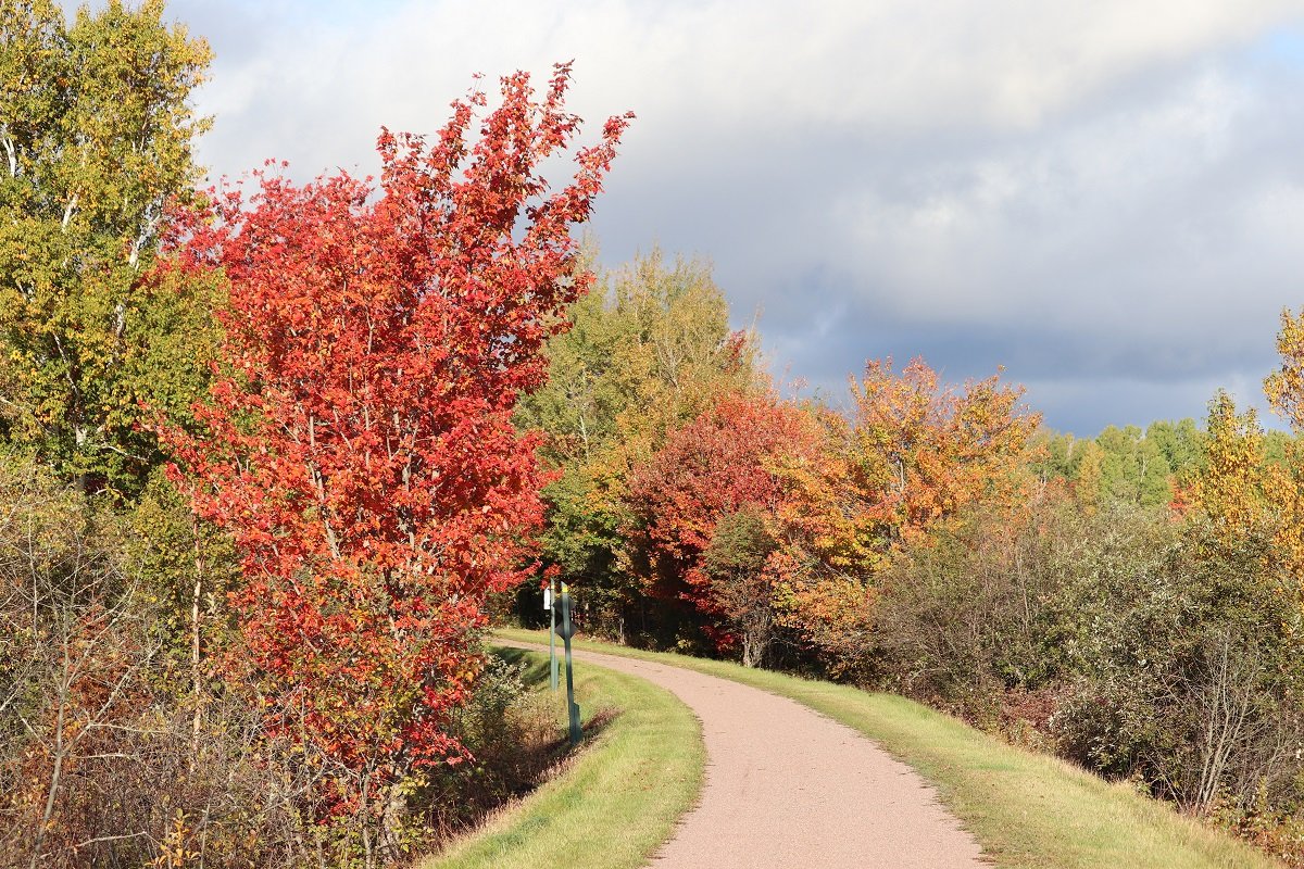 Confederation Trail Prince Edward Island Kanada Review Tripadvisor   Confederation Trail West 