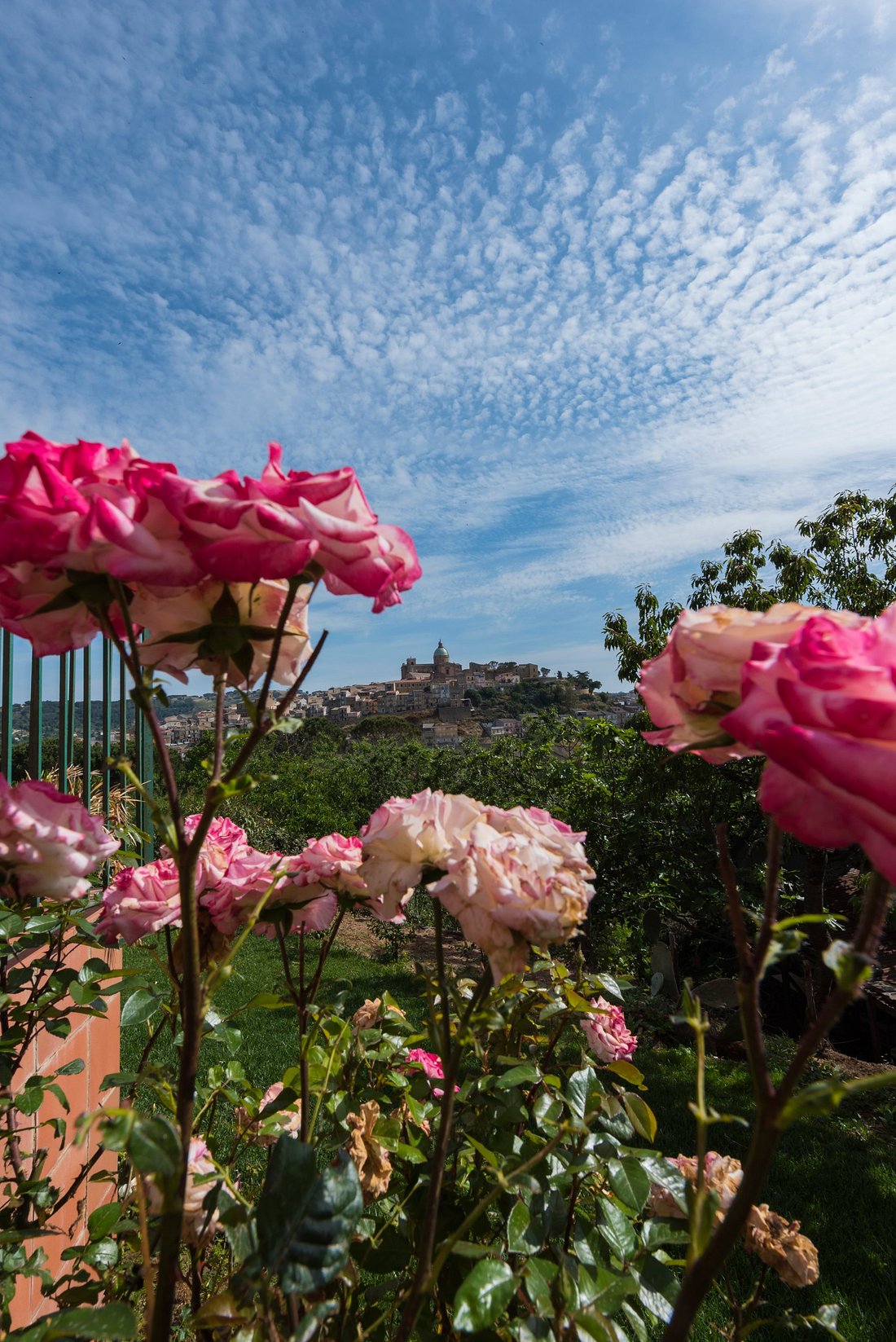 LA CASA ROSSA COUNTRY HOUSE $67 ($̶7̶2̶) - Prices & Hotel Reviews - Piazza  Armerina, Sicily, Italy