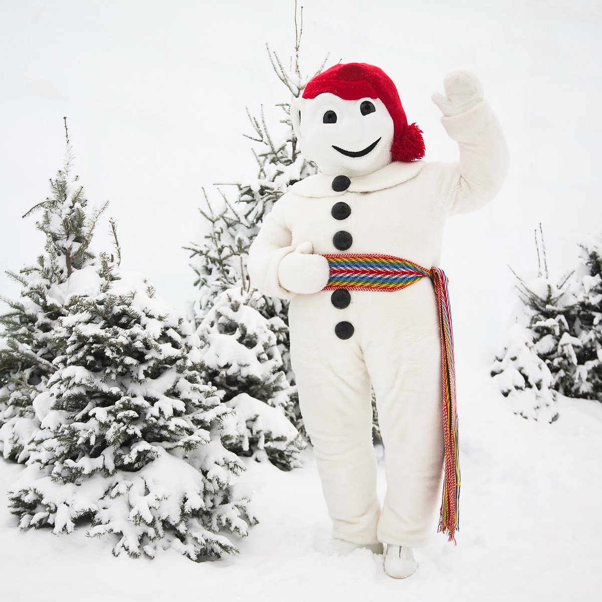 The Quebec Winter Carnival (Quebec City) - All You Need to Know BEFORE You Go