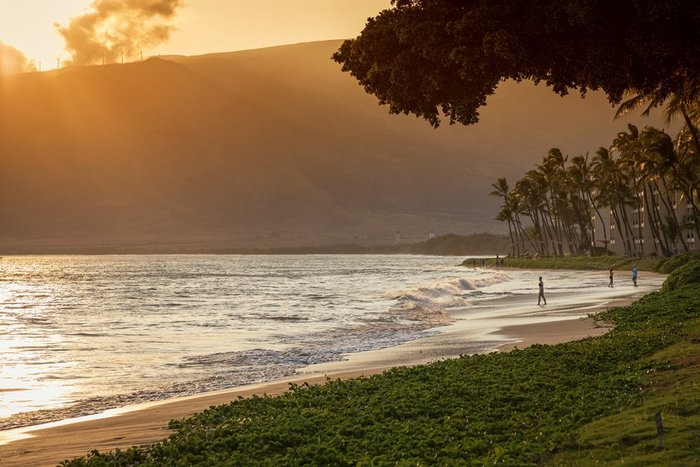 Maalaea Surf Resort Pool: Pictures & Reviews - Tripadvisor