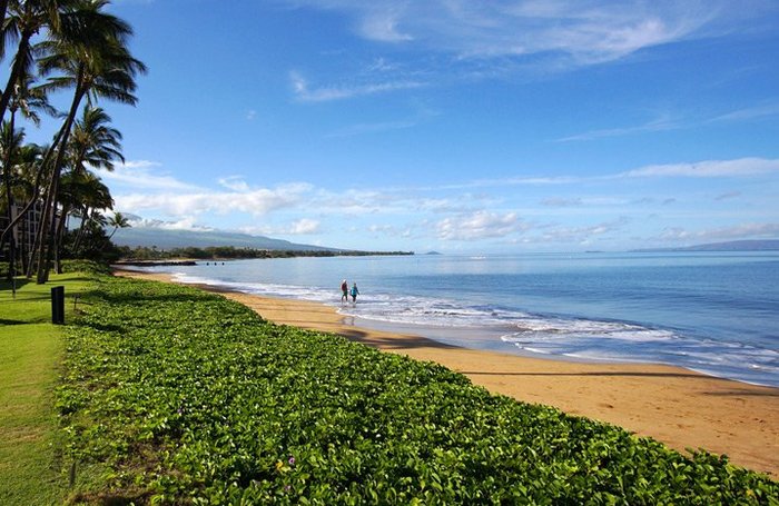 Maalaea Surf Resort Pool: Pictures & Reviews - Tripadvisor