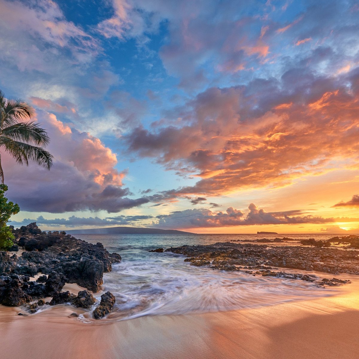 ANDREW SHOEMAKER PHOTOGRAPHY (Lahaina) - All You Need to Know BEFORE You Go