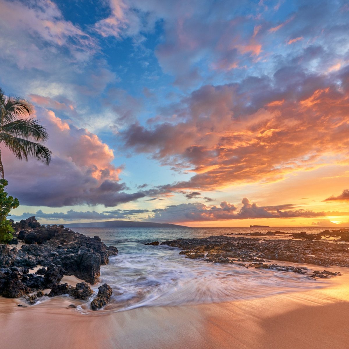 Andrew Shoemaker Photography (Lahaina): All You Need to Know