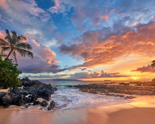 THE 10 BEST Museums You'll Want to Visit in Maui (Updated 2024)