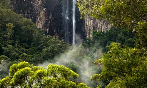 Minyon Falls: highest waterfall in the region