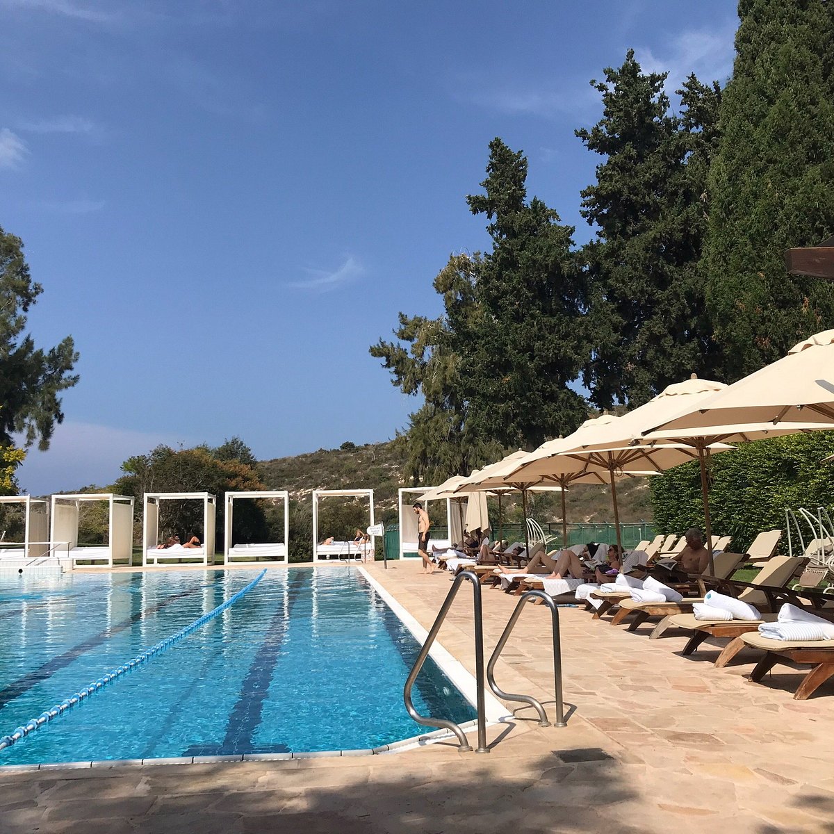 Carmel Forest Spa Resort, hotel a Haifa