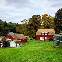 Another view from inside the farm.