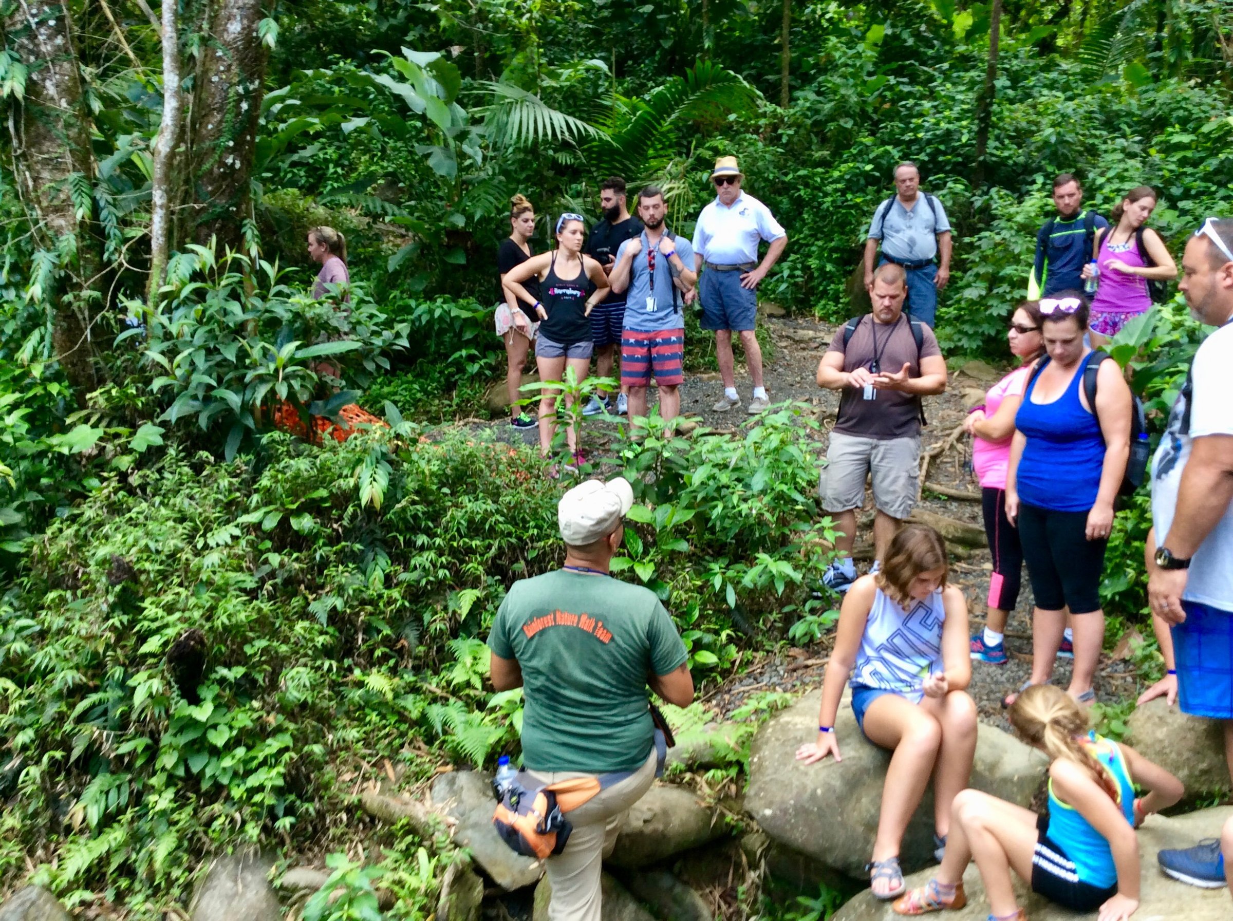 el yunque tours tripadvisor