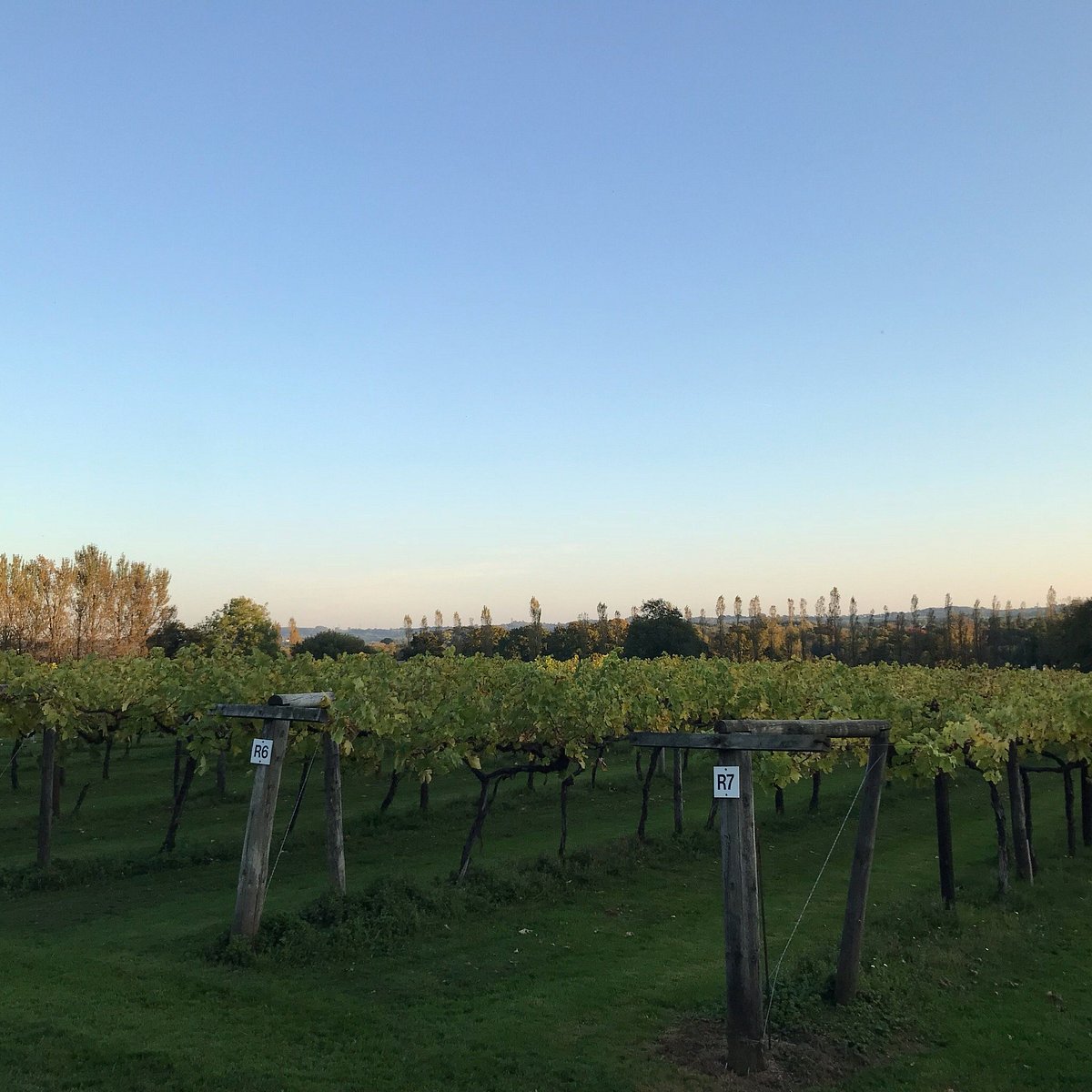 llanerch vineyard tours