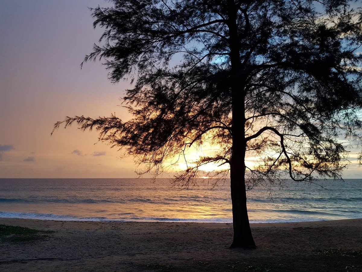 D varee mai khao beach