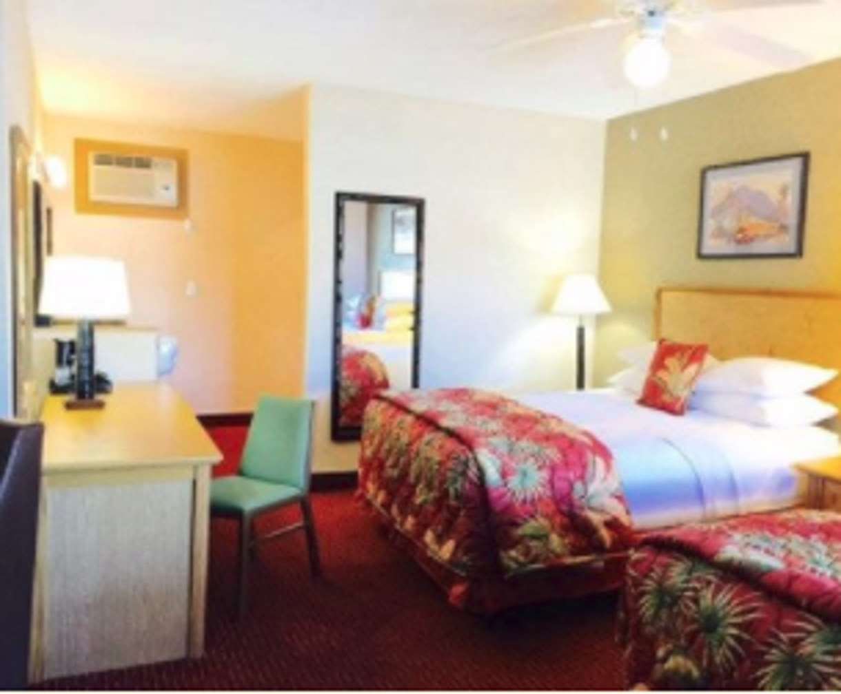 Hotel photo 2 of Caliente Tropics Resort.