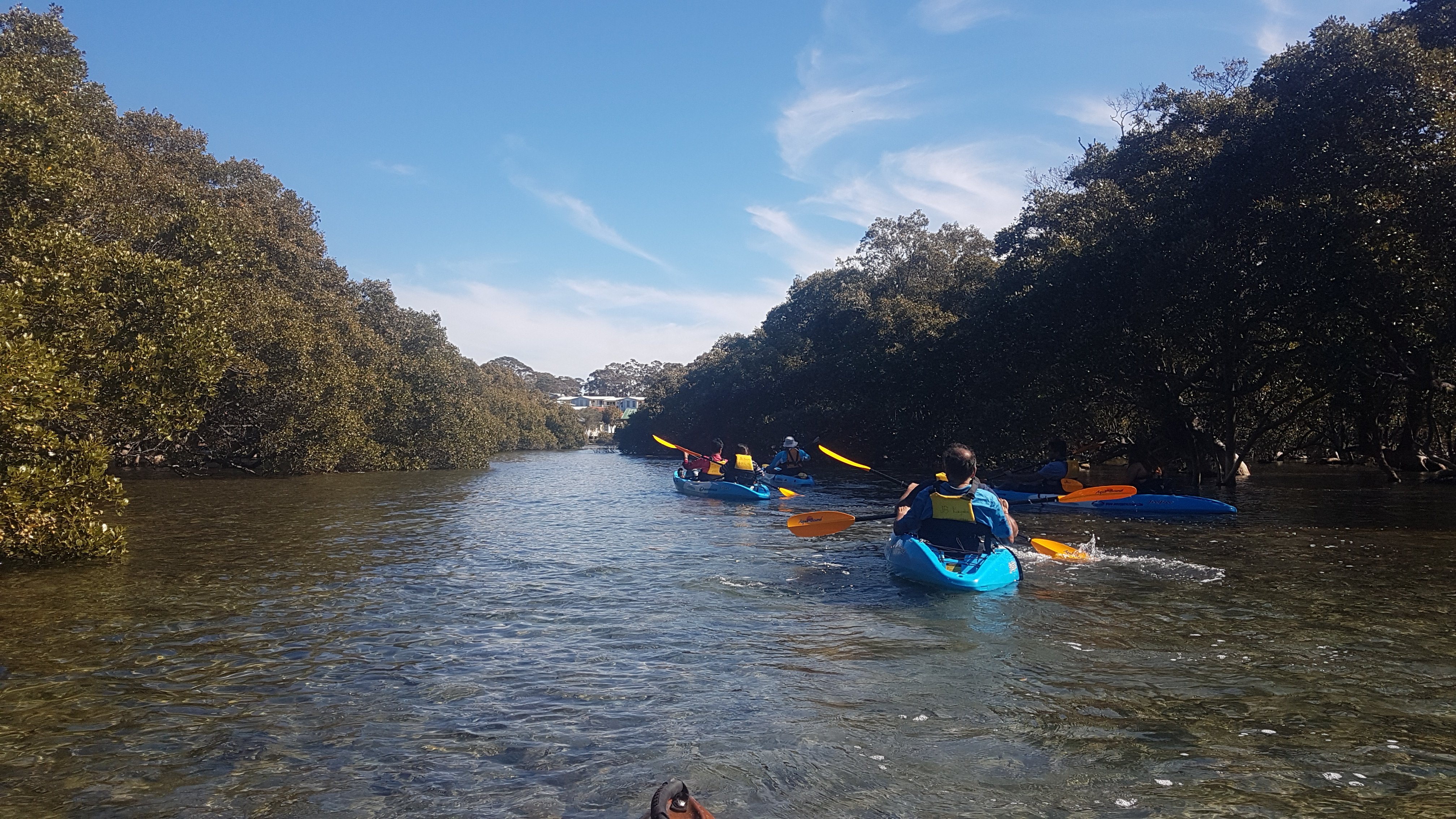 JERVIS BAY KAYAK & PADDLESPORTS CO (Huskisson) - All You Need To Know ...