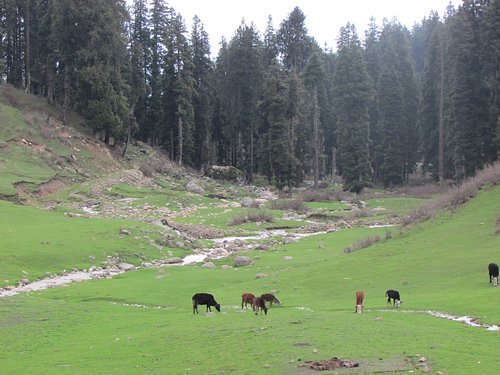 best places to visit at manali