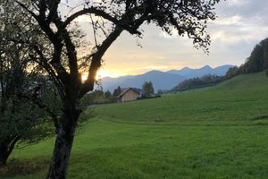 Zimmeraussicht