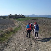 Approaching Orciano Pisano: a ruined farmhouse on background.