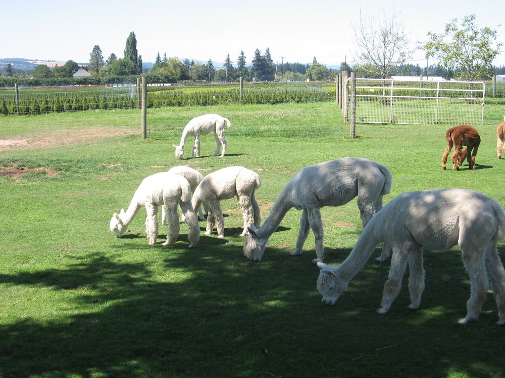 2022 O Que Fazer Em Hillsboro Os 10 Melhores Pontos Turísticos Tripadvisor 8946