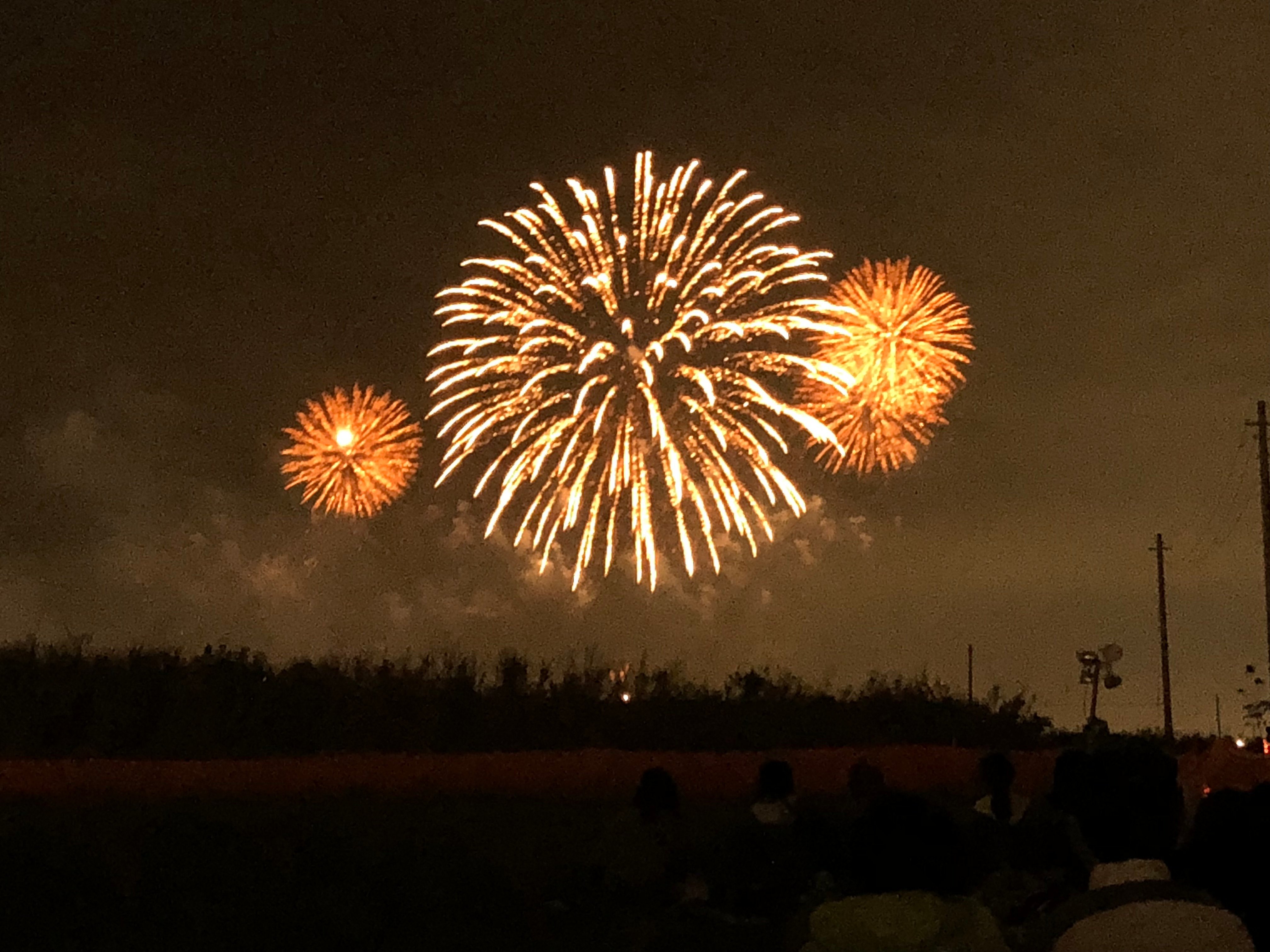 2024年 こうのす花火大会 - 出発前に知っておくべきことすべて - トリップアドバイザー