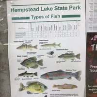 Hempstead Lake State Park - 2021 All You Need to Know BEFORE You Go ...