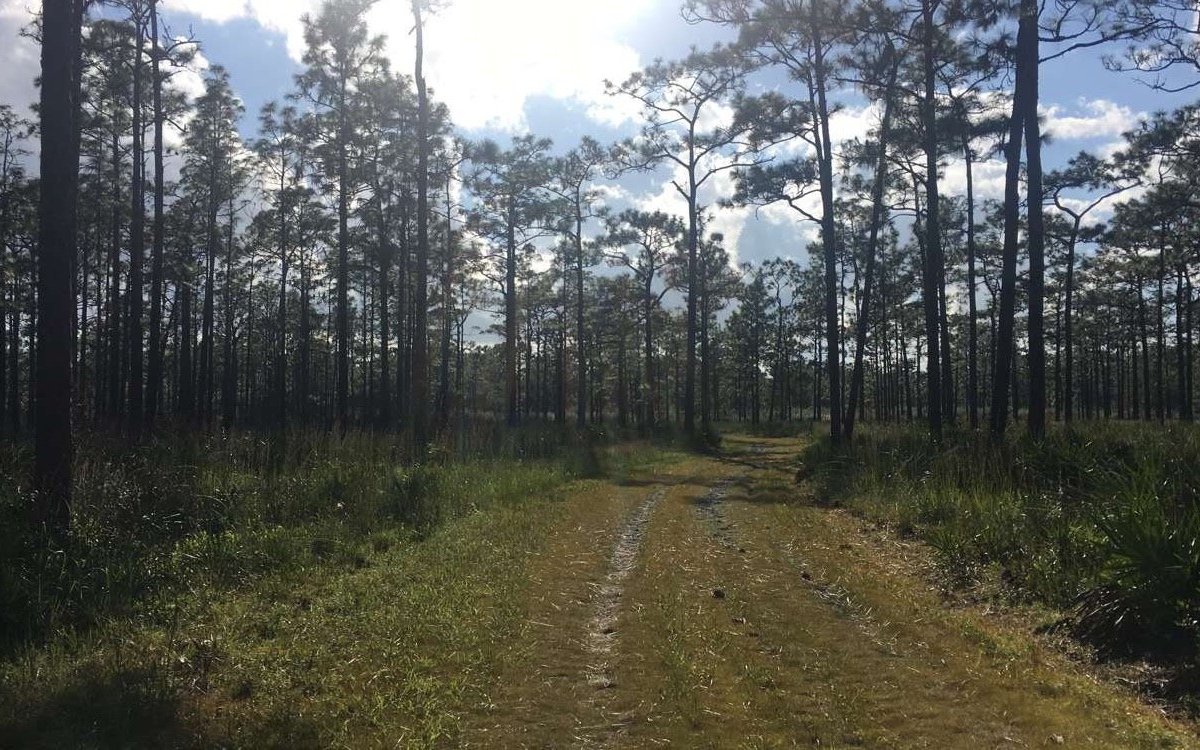 Split Oak Forest Mitigation Park - All You Need to Know BEFORE You Go ...