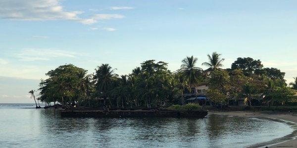 PLAYA NEGRA PUERTO VIEJO (Costa Rica) - opiniones y comentarios -  apartamento - Tripadvisor