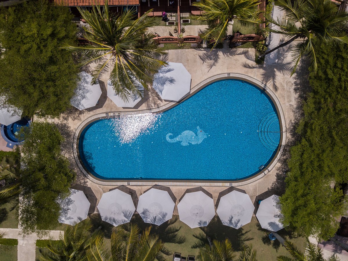 Fotos Y Opiniones De La Piscina Del Casa Del Mar Langkawi Tripadvisor