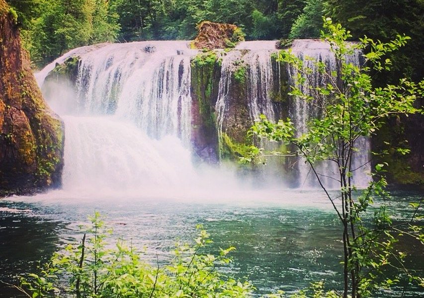 Lewis River Falls image