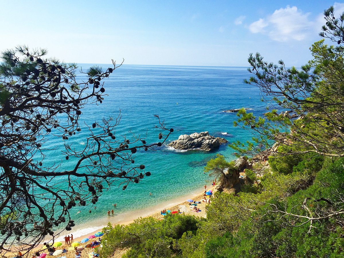 Playa Cala Sa Boadella (Lloret de Mar) - All You Need to Know BEFORE You Go