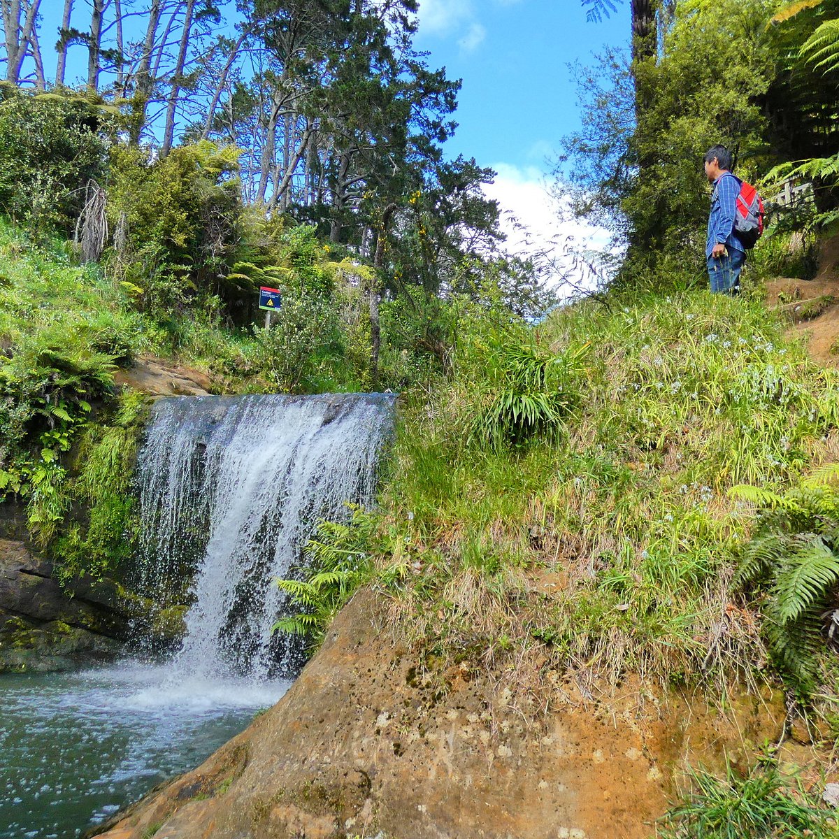 OAKLEY CREEK WALKWAY (Auckland Central) - All You Need to Know BEFORE You Go